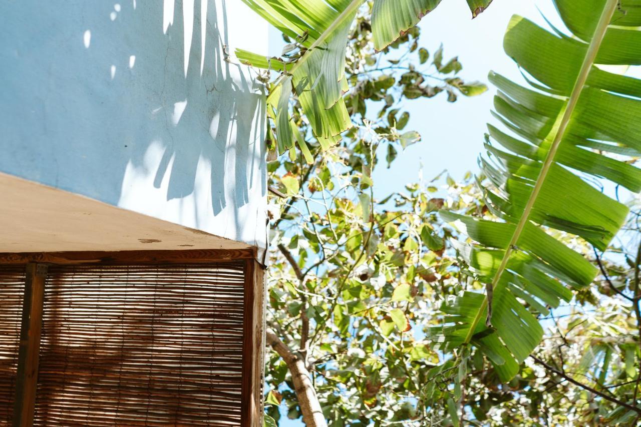 Tortuga Blue House In Banana Plantation Villa Arucas Exterior photo