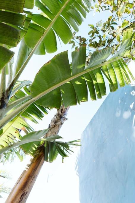 Tortuga Blue House In Banana Plantation Villa Arucas Exterior photo